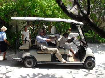 How golf carts work?