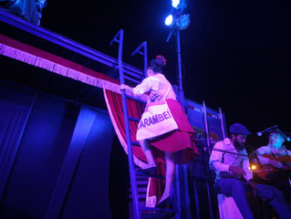 Container Cultural em Carambeí