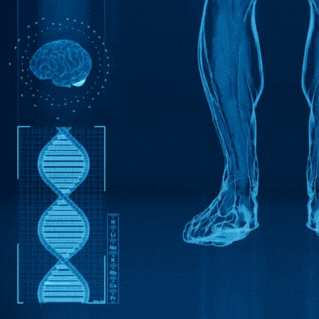 未命名設計 (4).gif