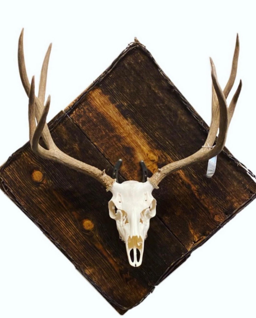 custom backing (cover)