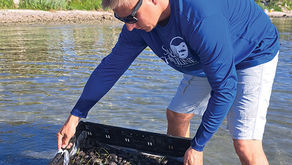 Restoring the Lagoon One Acre at a Time