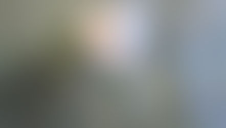 Manatee Awareness Month: Go slow, look out below on the water 