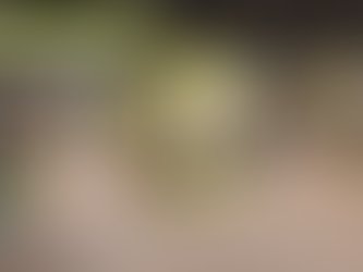 Layout de lojas para materiais elétricos: qual sua importância na atração de clientes?