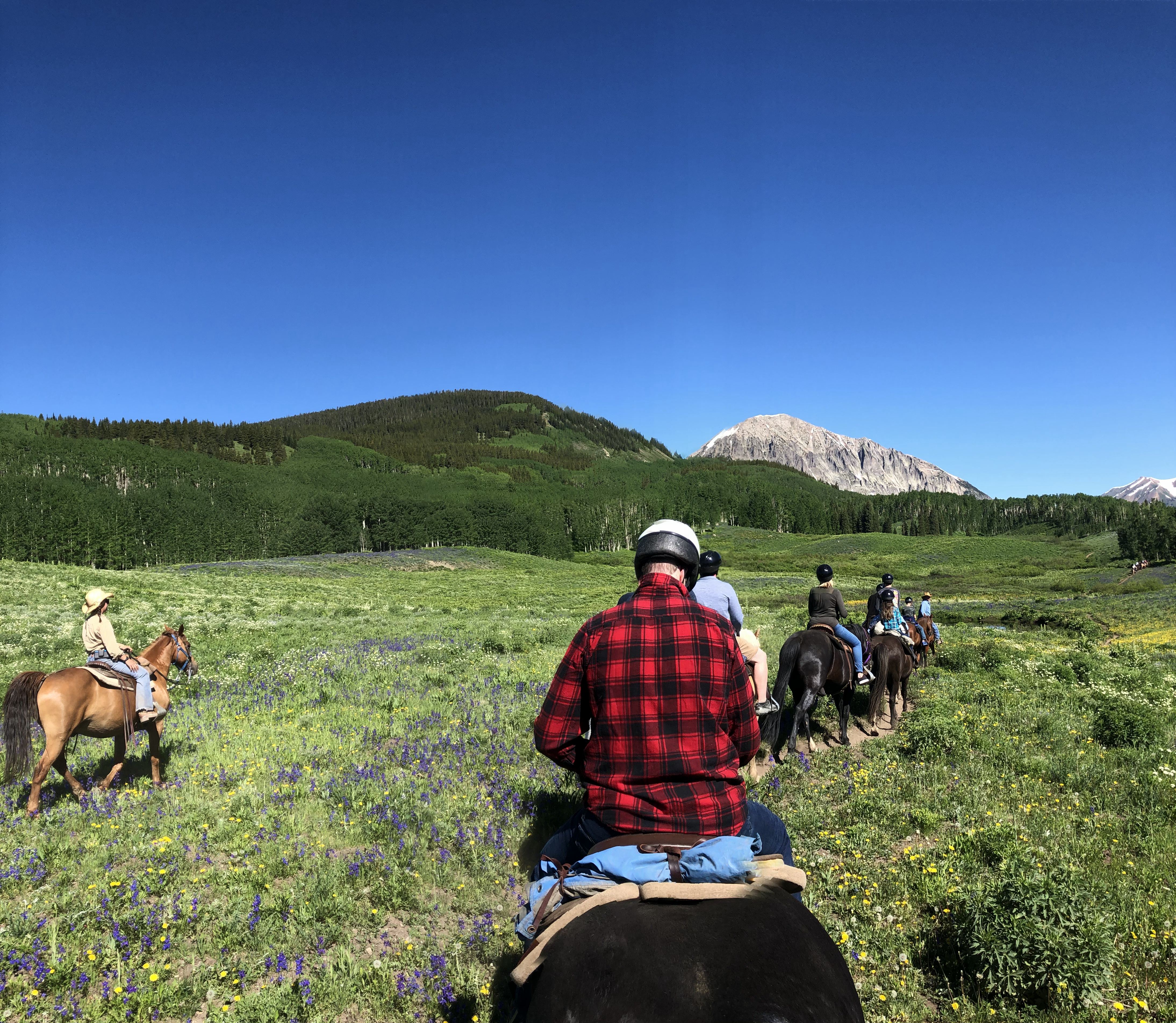 Crested Butte Colorado horseback riding
