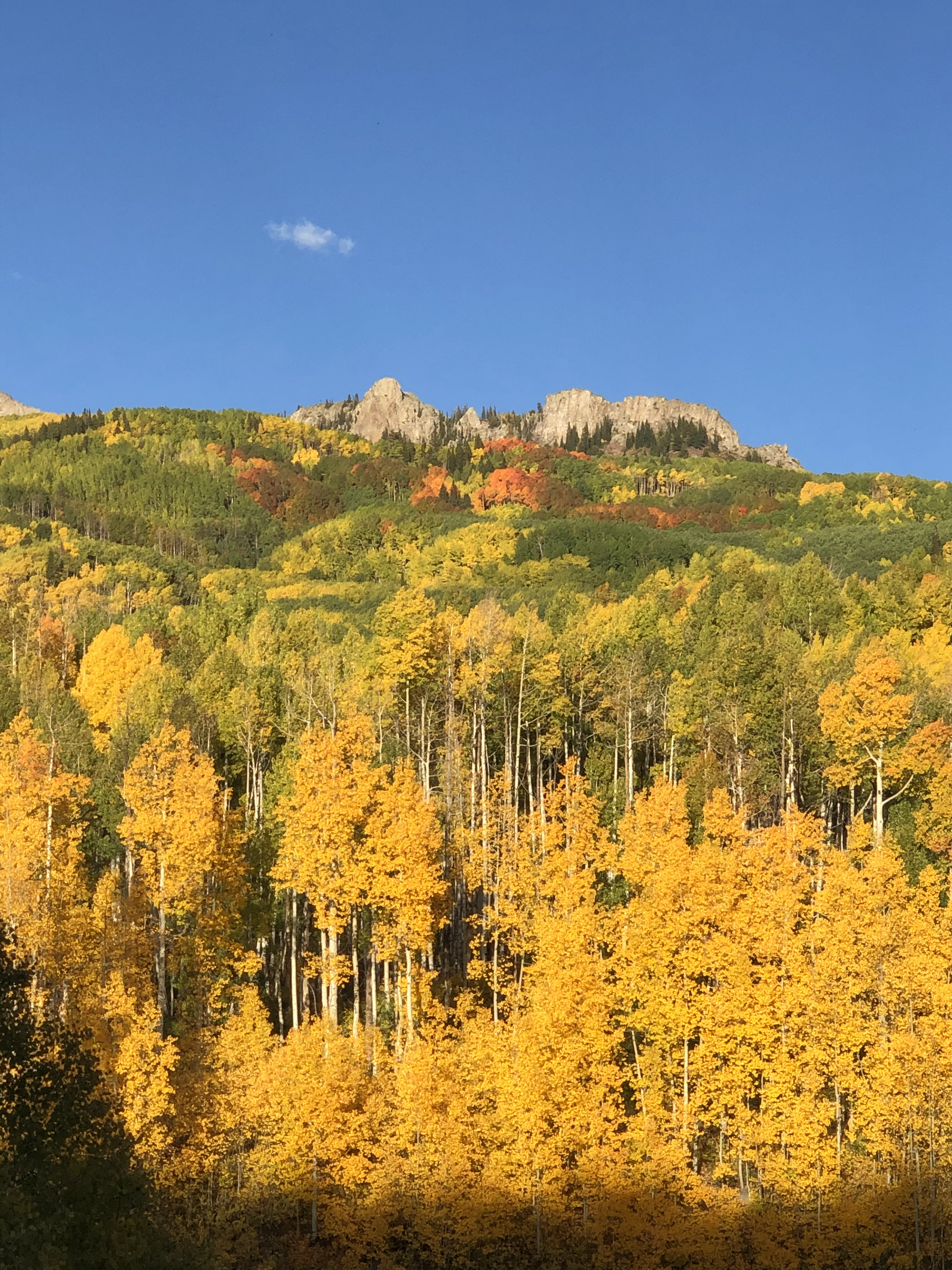 Crested Butte Colorado fall colors