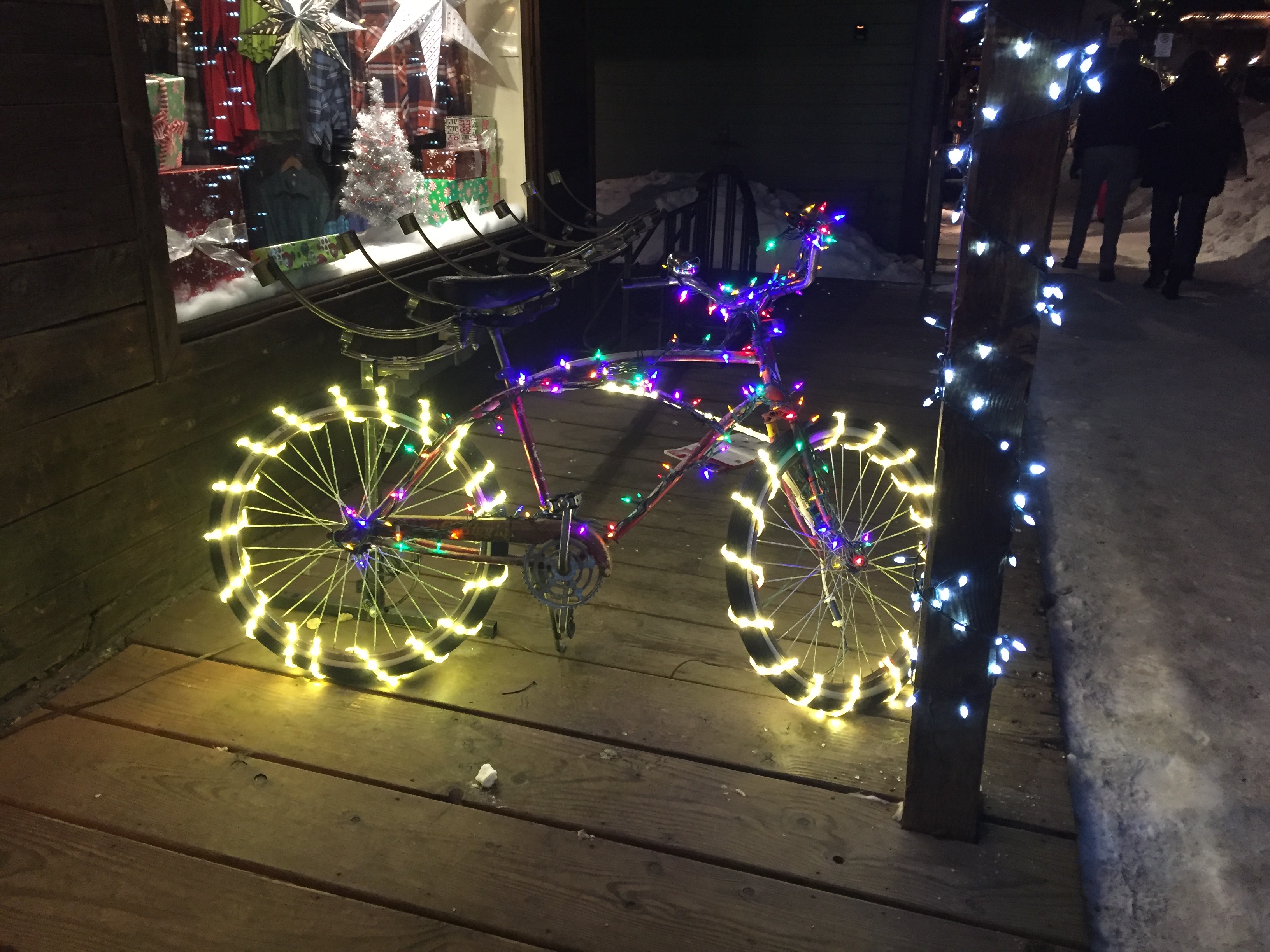 Crested Butte Colorado fat bike