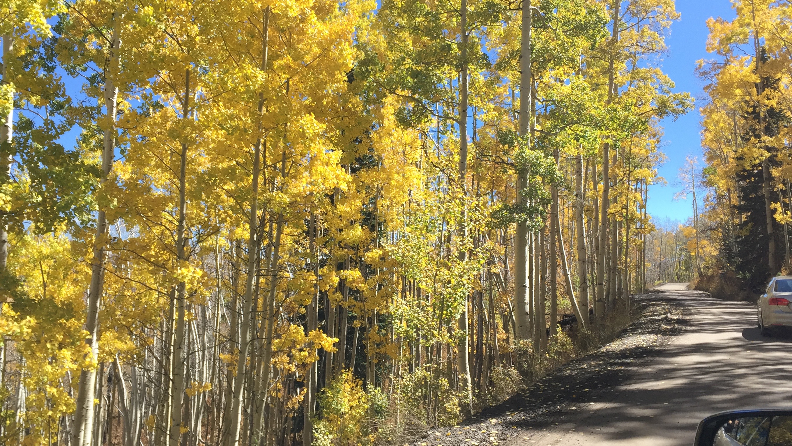 Crested Butte Colorado fall