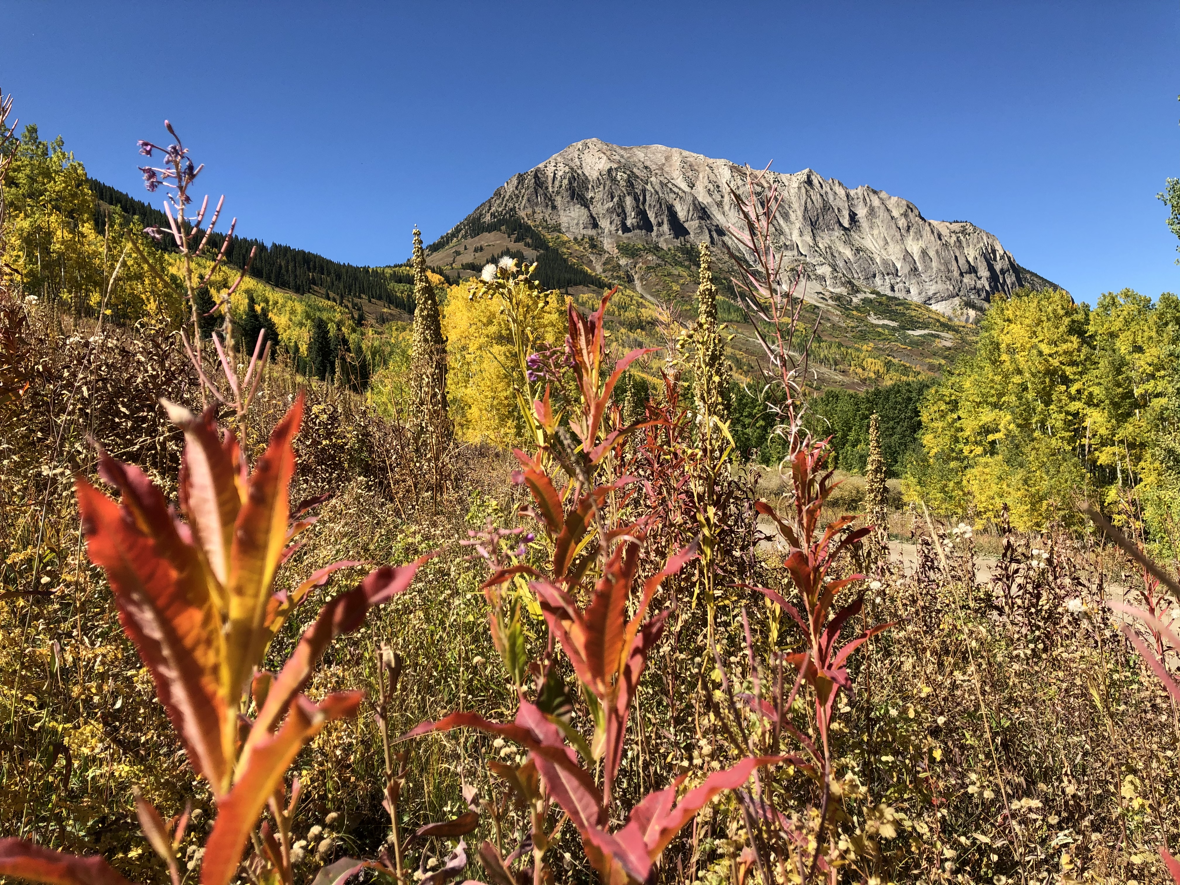 Crested Butte Colorado fall