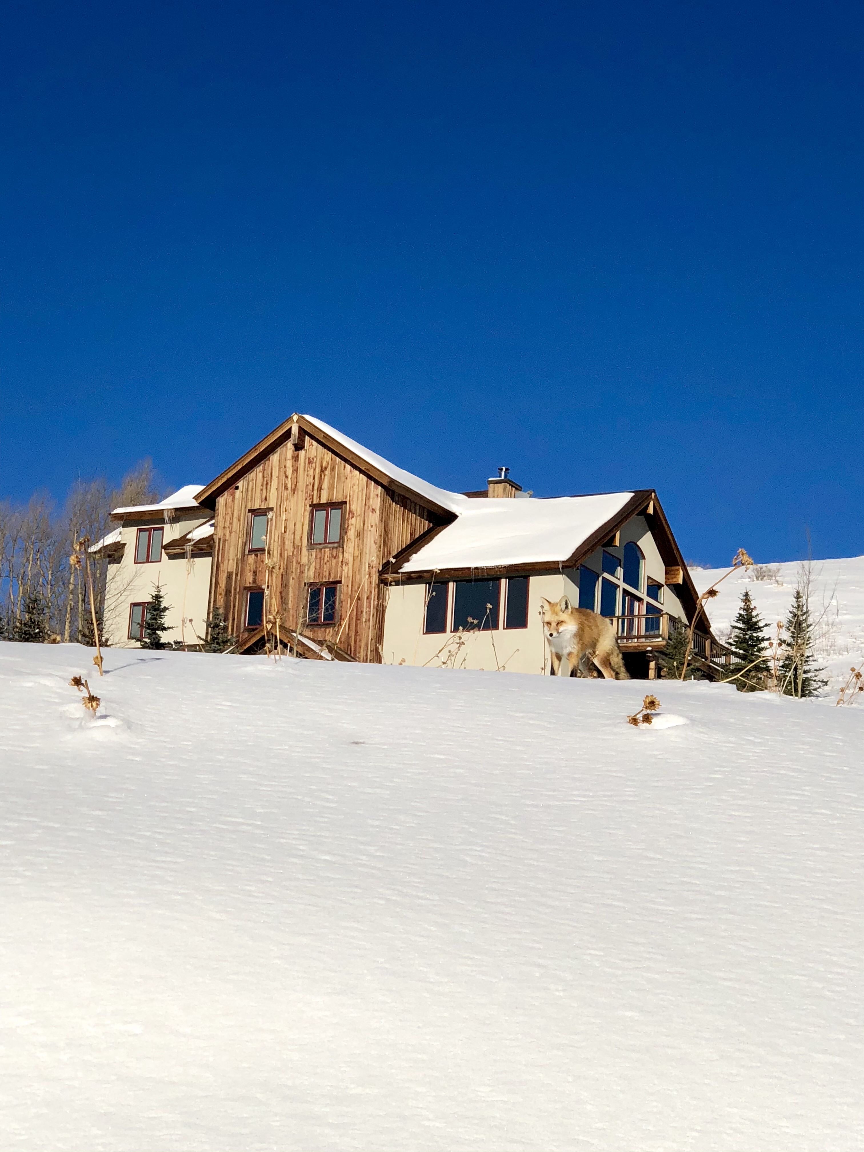 Crested Butte Colorado house
