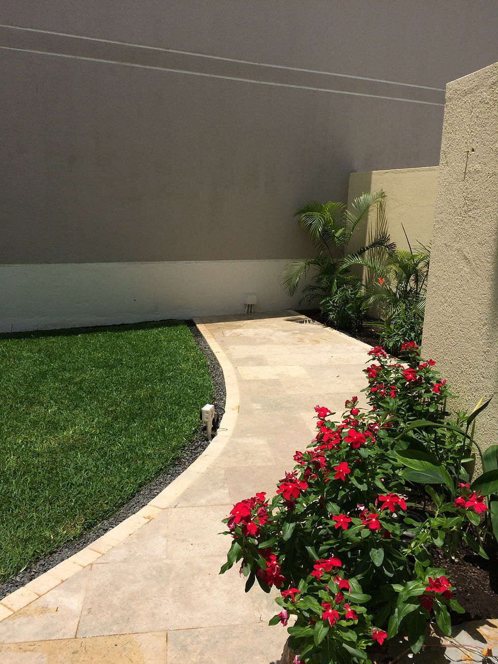 Extended Terrace and plants