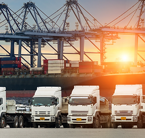 Transporte Lotação.png