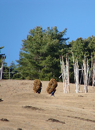Collecting materials from mountain forests Bhutan