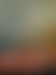 The Complete Guide on Selecting a Trading Platform in India for Stocks, Crypto and Intraday Trading  