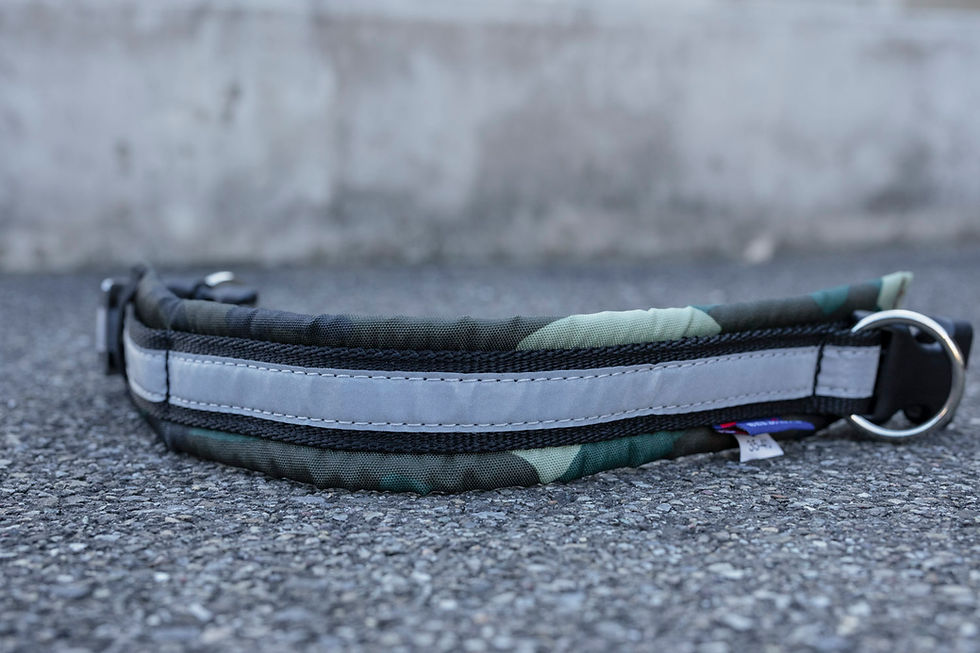 Miniaturbild: Halsband Soft Klickverschluss