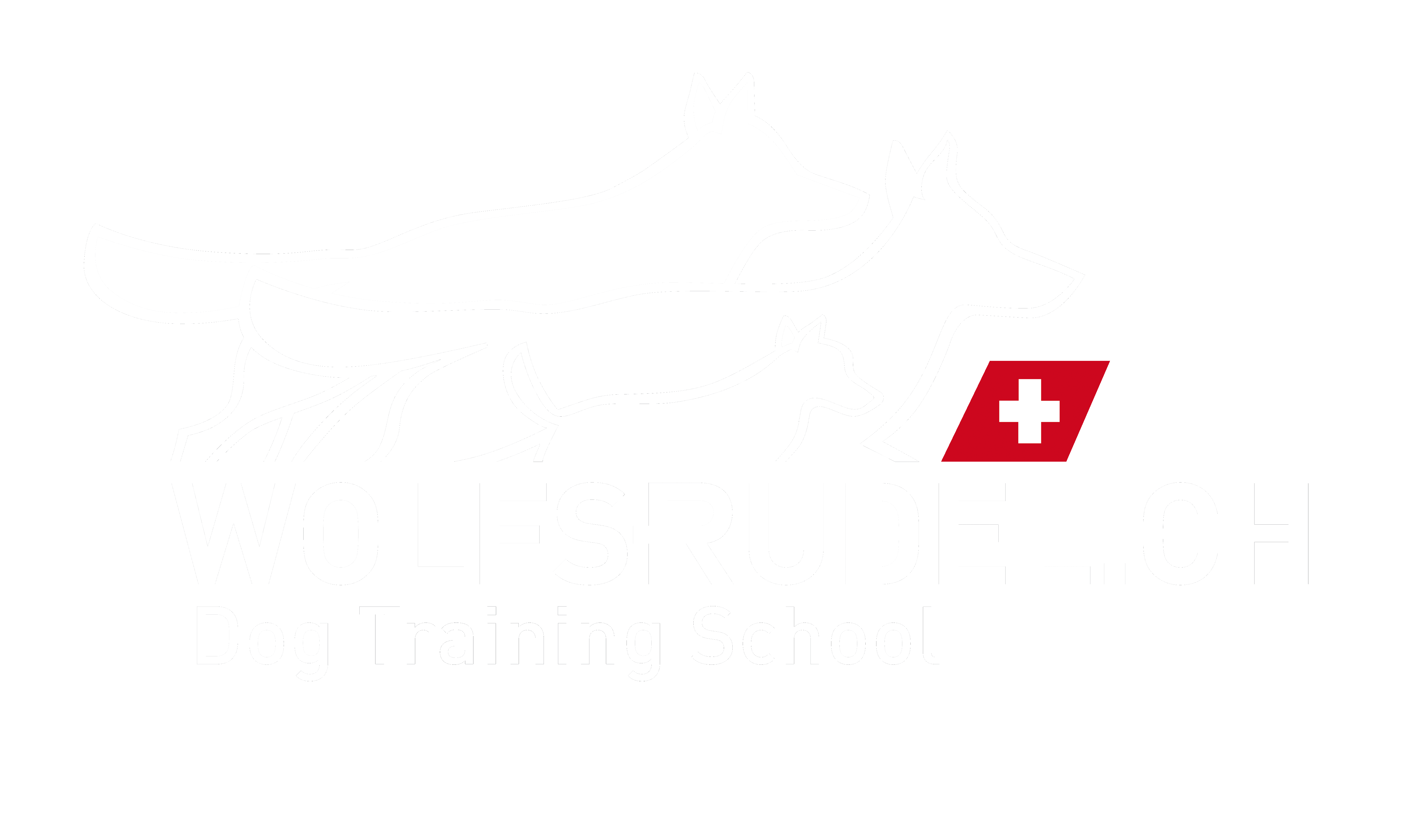 Trainerausbildung Wolfsrudel