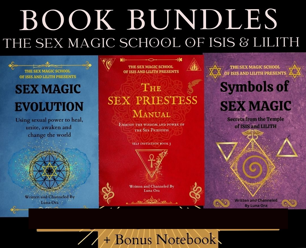 Book bundle 3