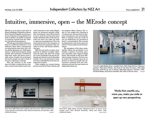 NZZ kort copy.jpg