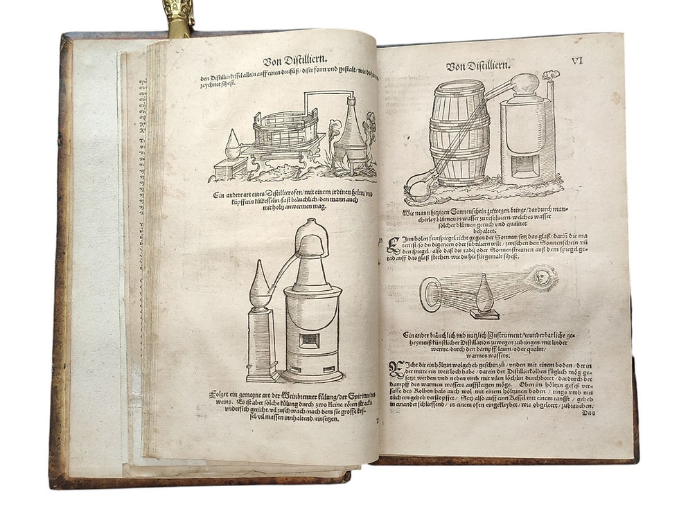 Miniatúra: Lonicerus Adamus, Kreuterbuch (rok 1564)