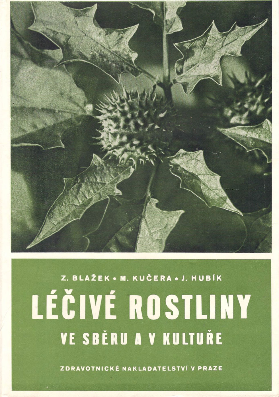 Blažek Z. - Kučera M. - Hubík J., Léčivé rostliny ve sběru a v kultuře