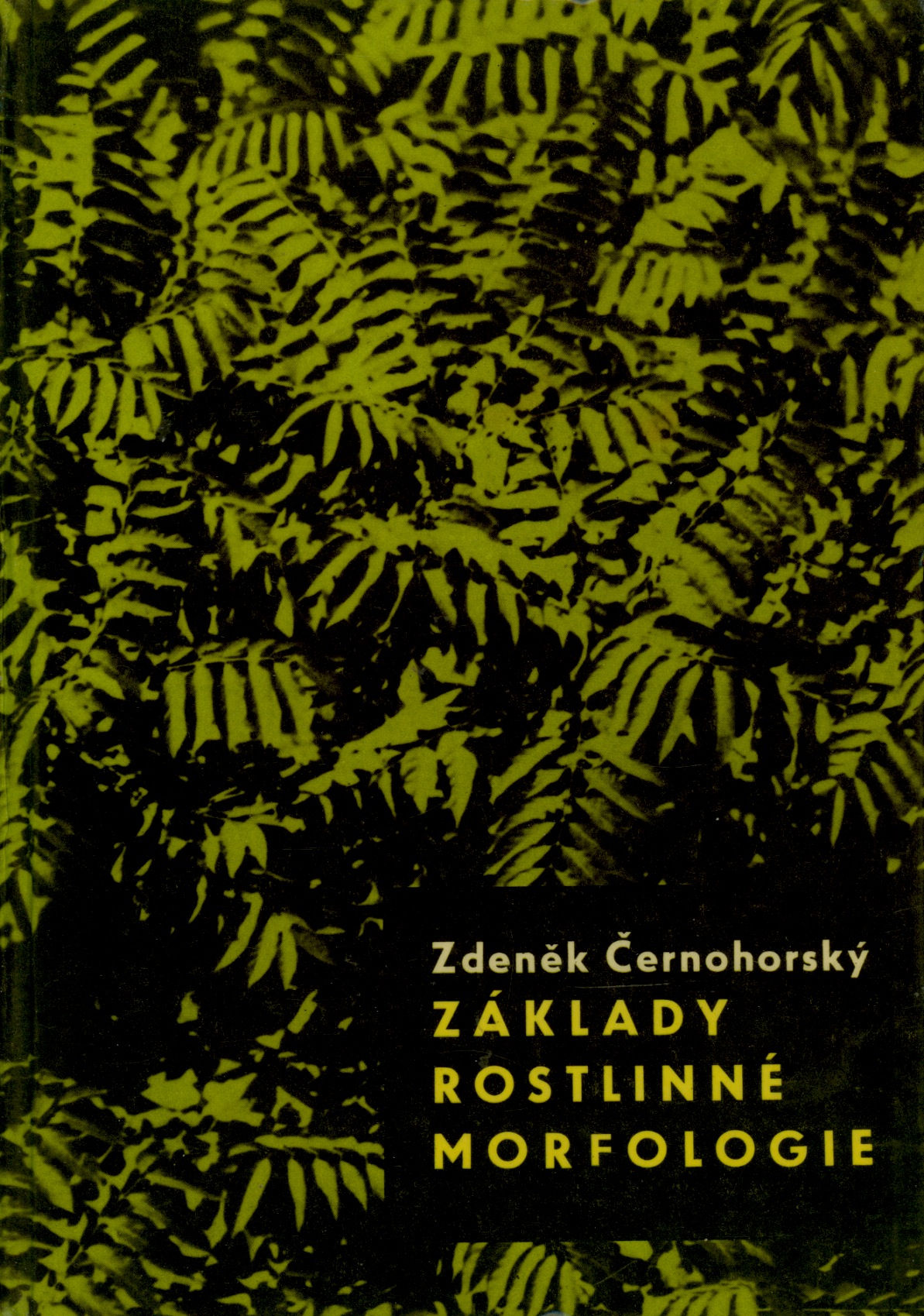 Černohorský Zdeněk, Základy rostlinné morfologie