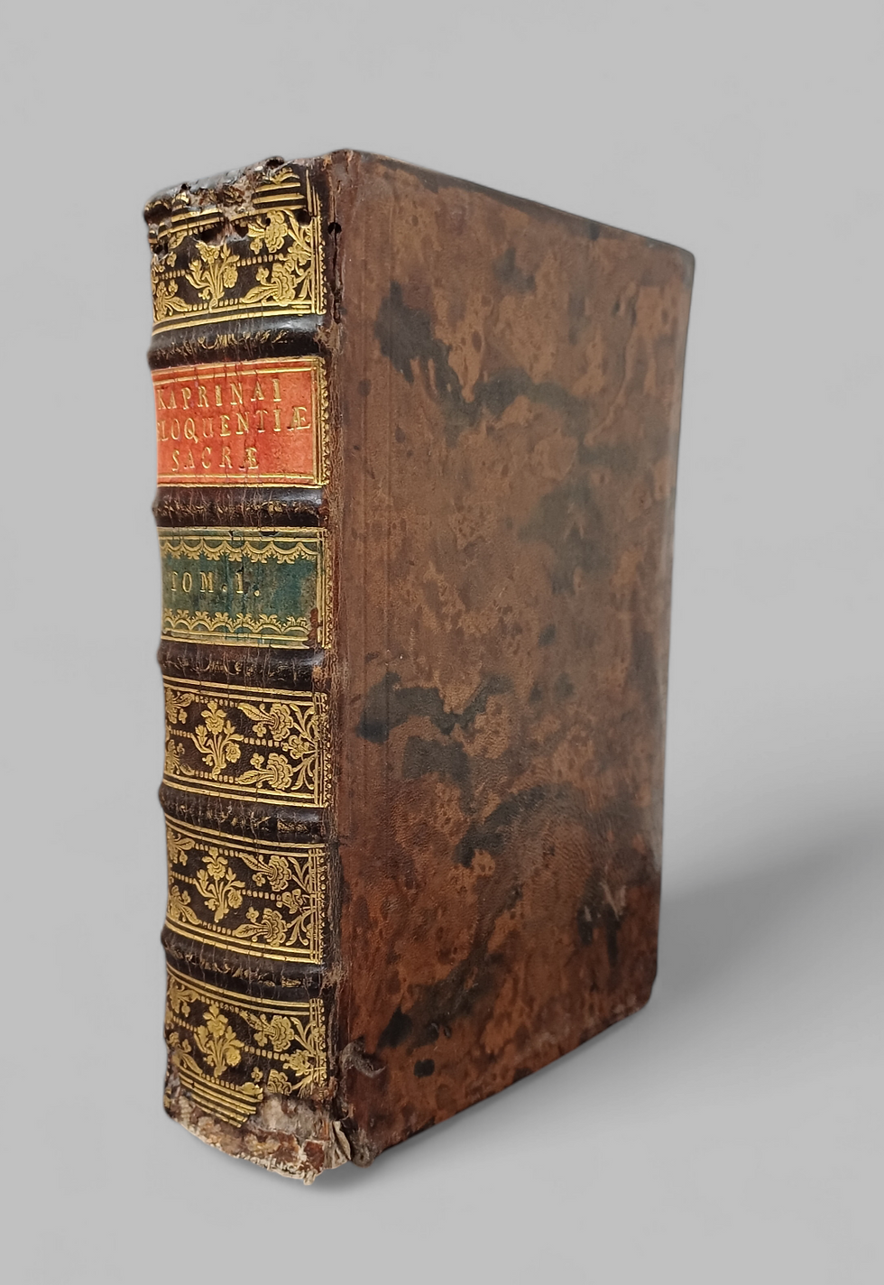 Kaprinai Stephano, Institutio eloquentiae sacrae
