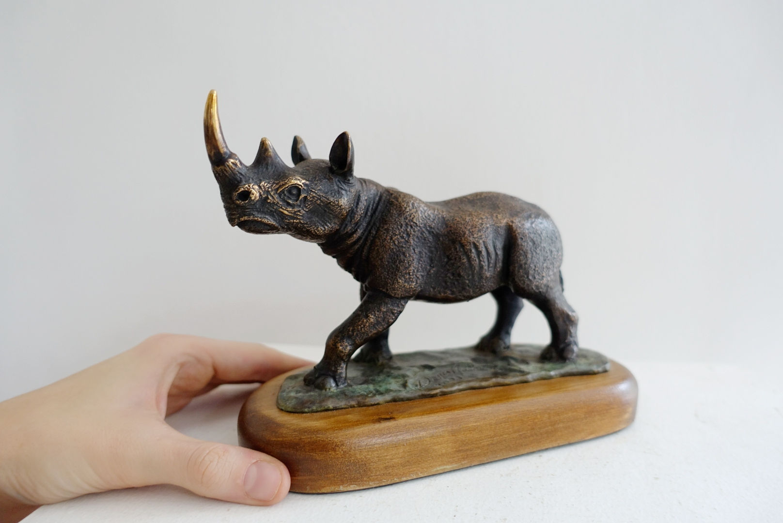 Little Black Rhino