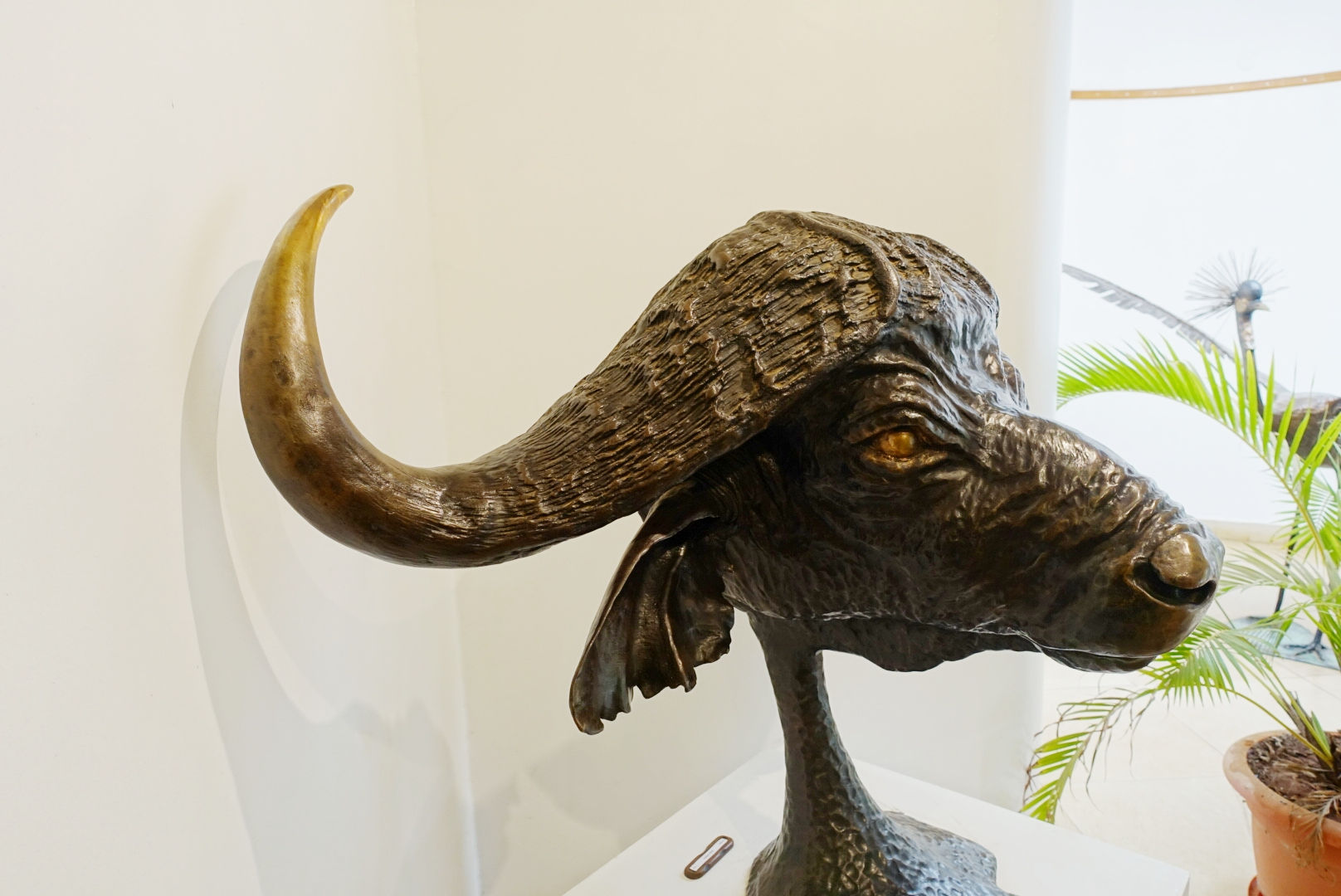 Buffalo Boss