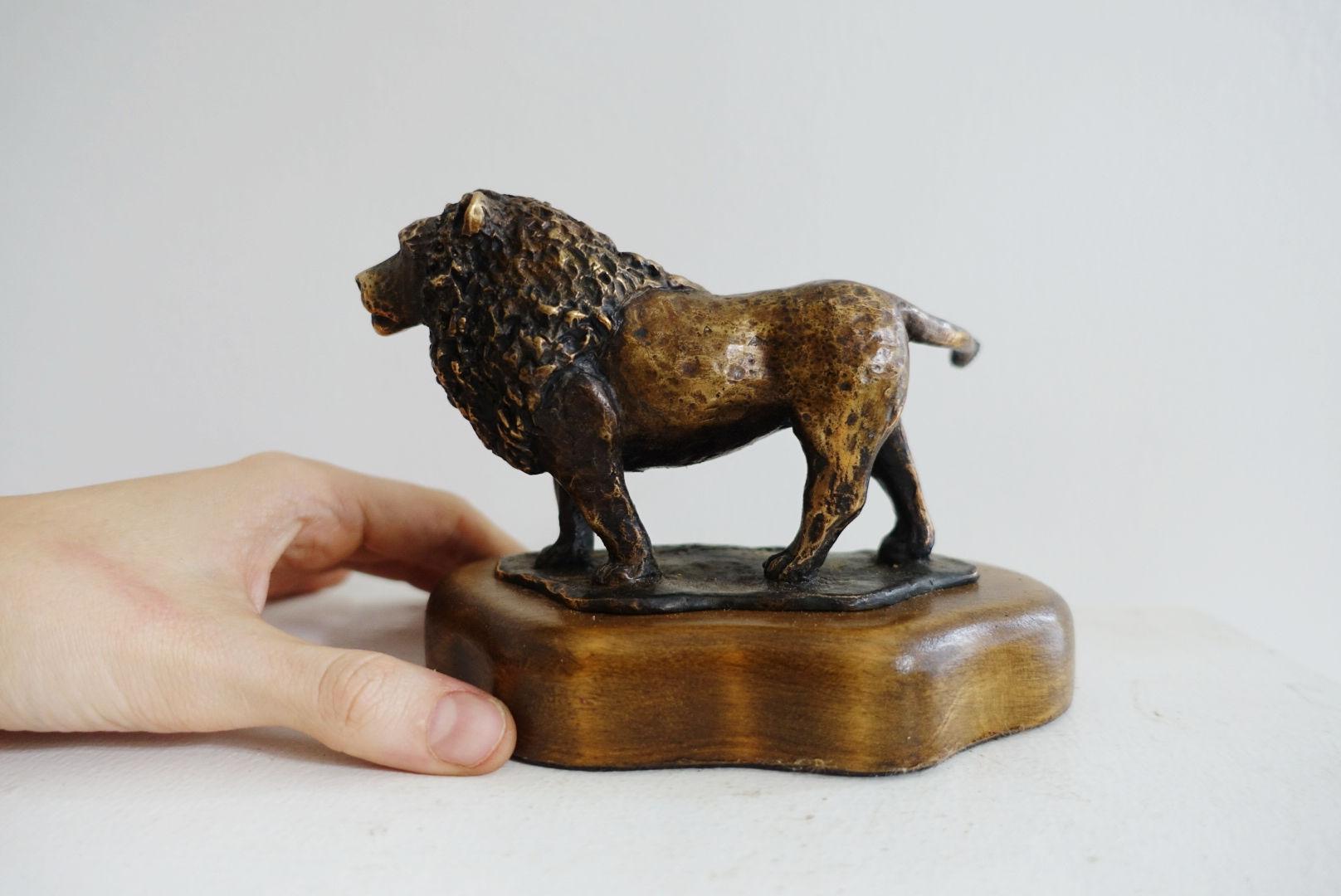 Tsavo Lion