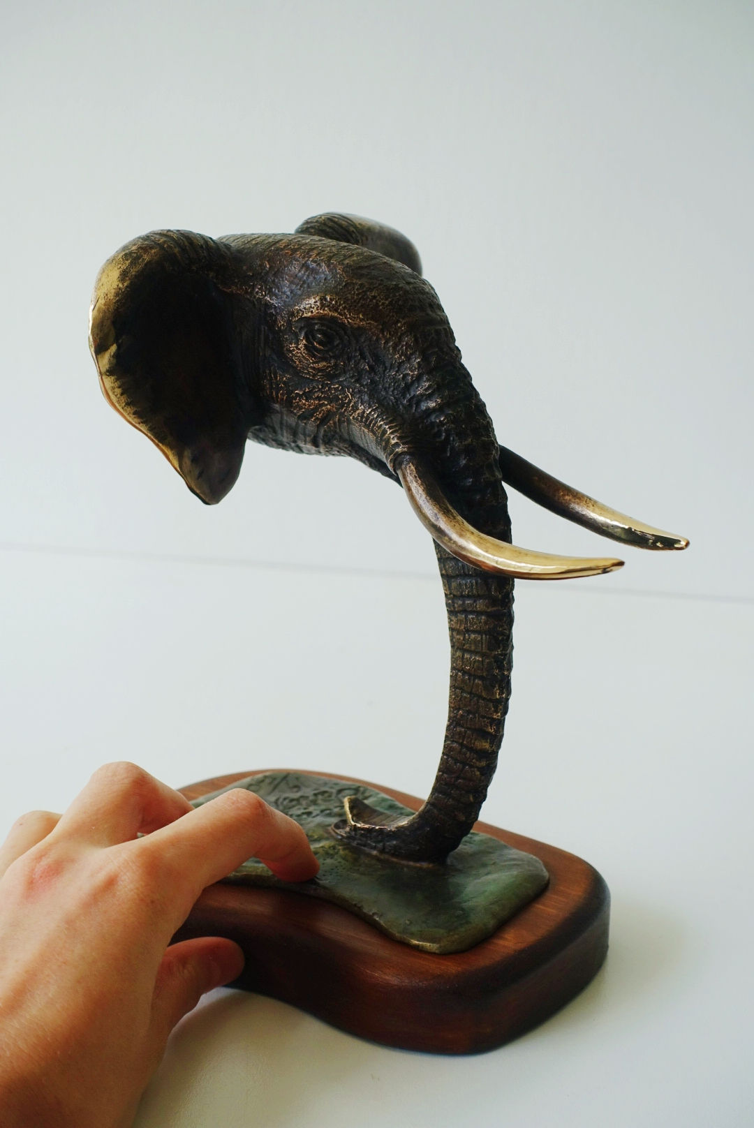 Chyulu Elephant Head (s)