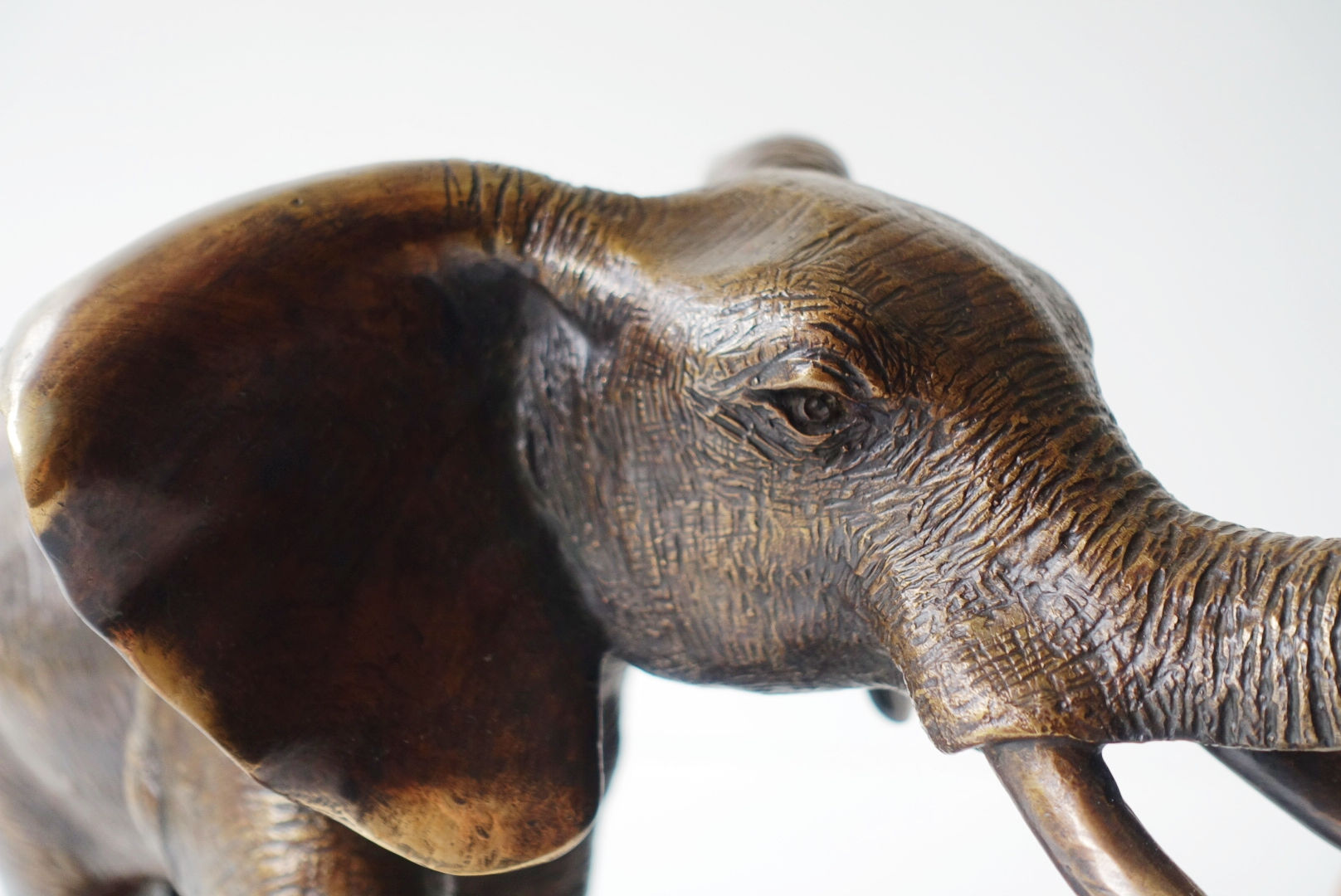 Mara Elephant (M)