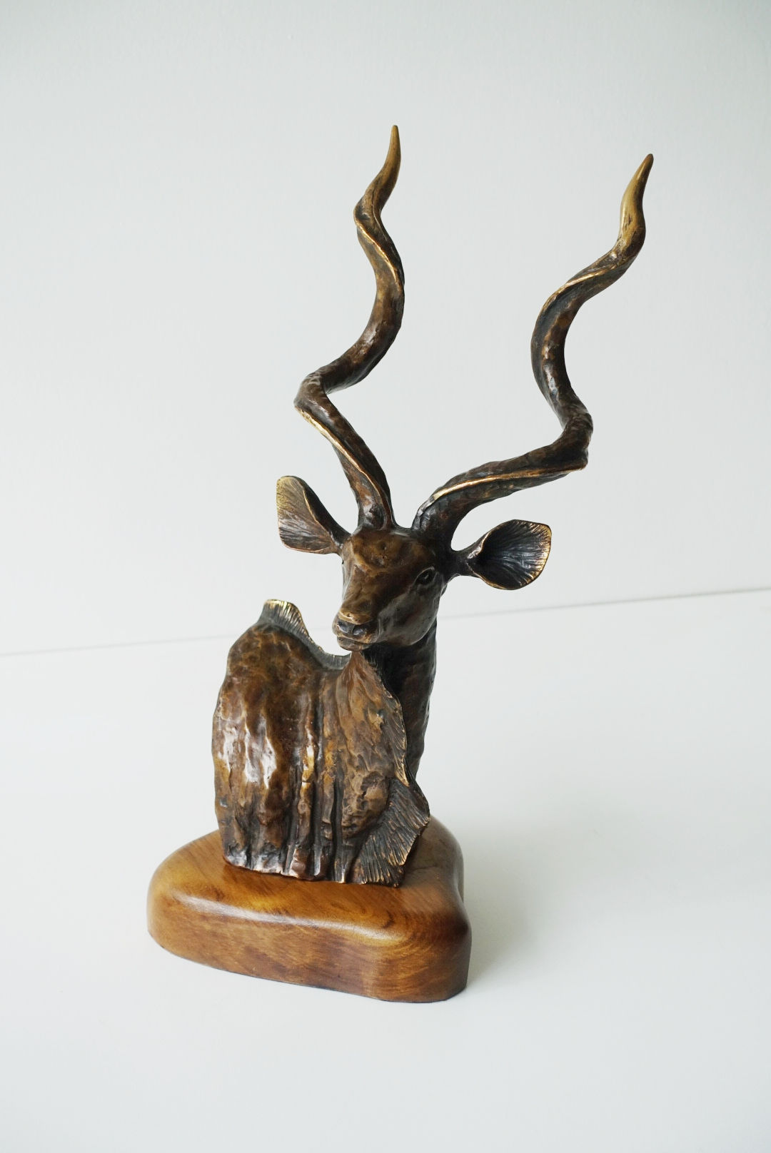 Kudu Head