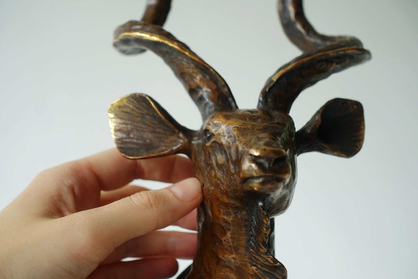 Kudu Head