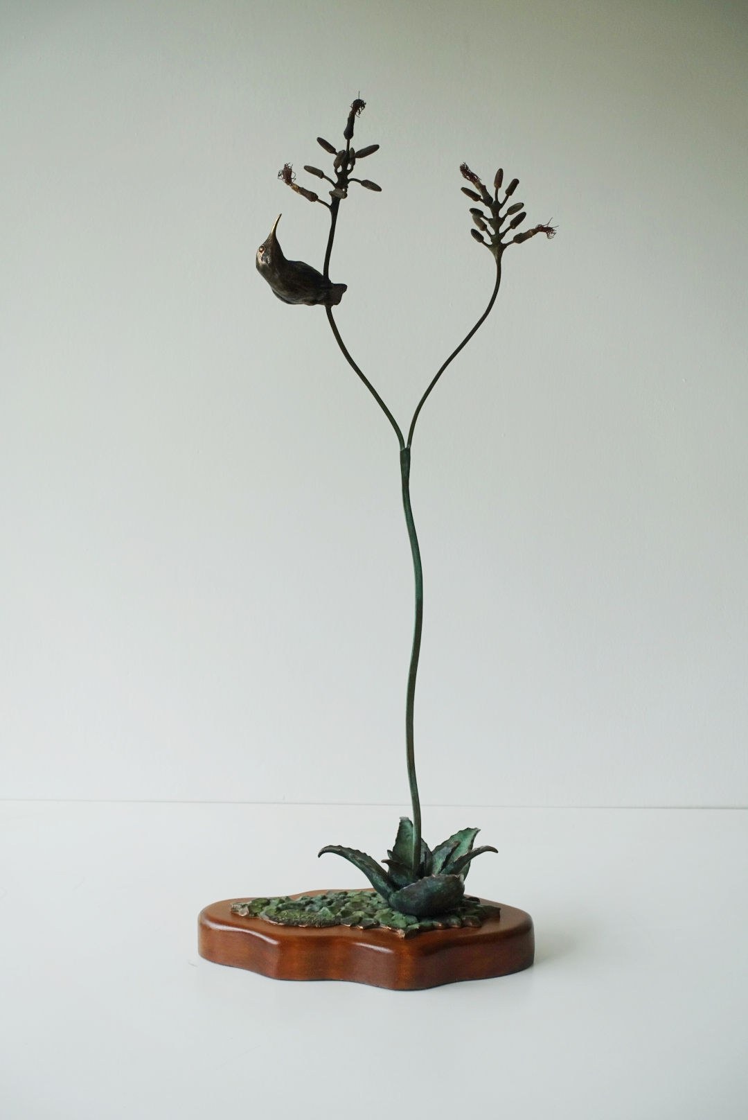 Small Aloe