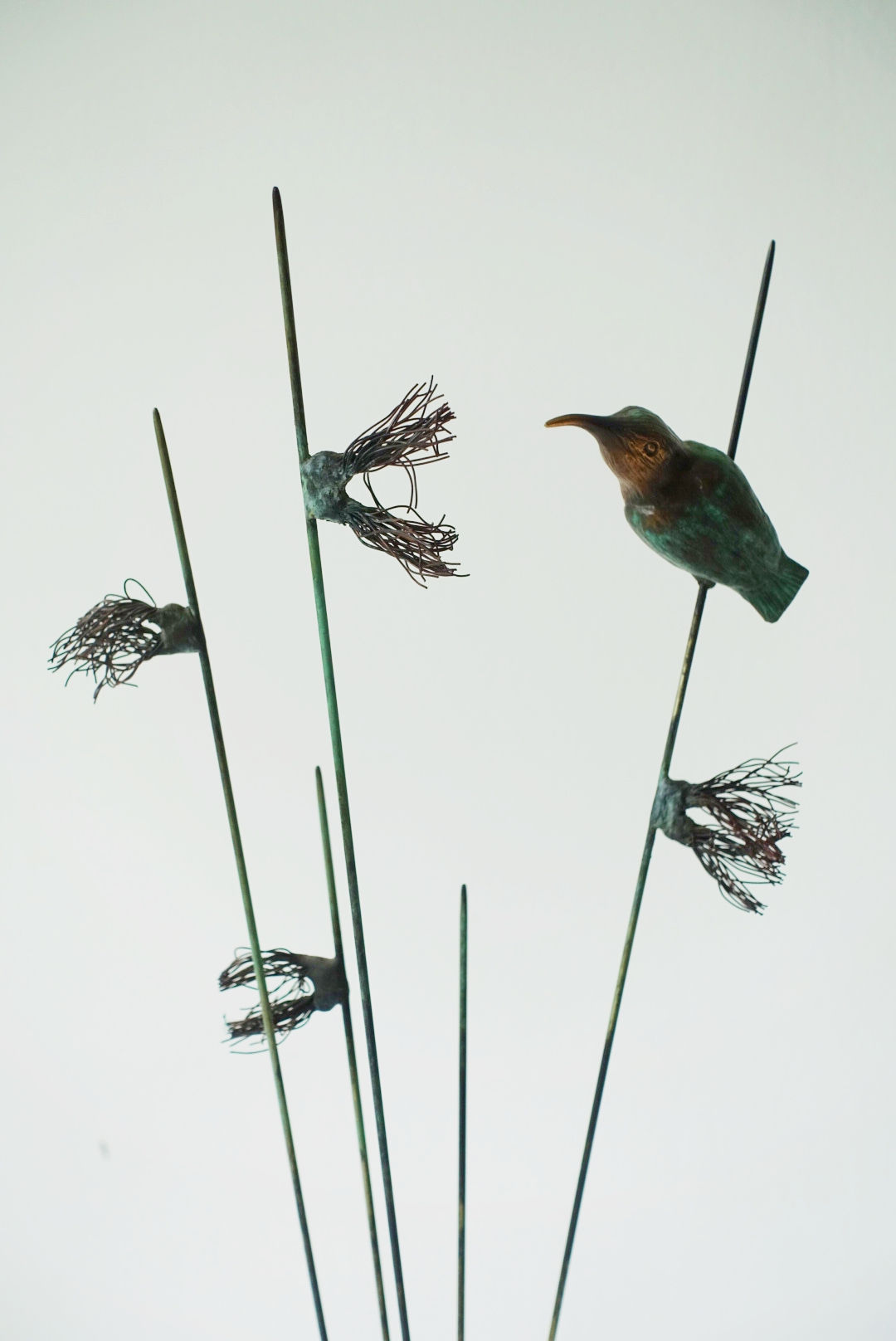 Mara Rain Grass