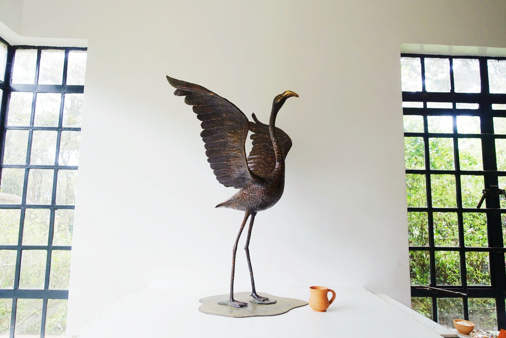Lesser Flamingo - Wings Out