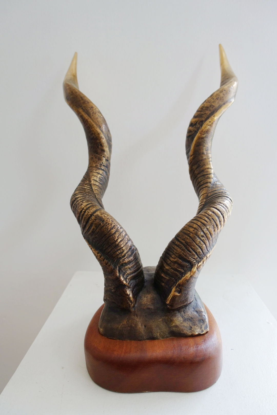 Lesser Kudu Horns