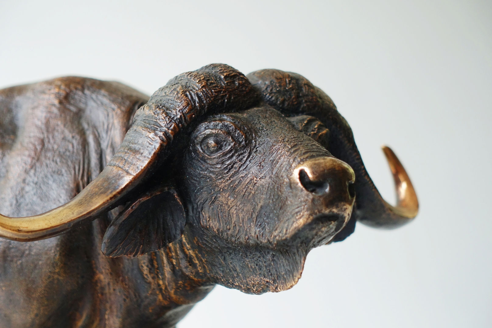 Buffalo Tembea
