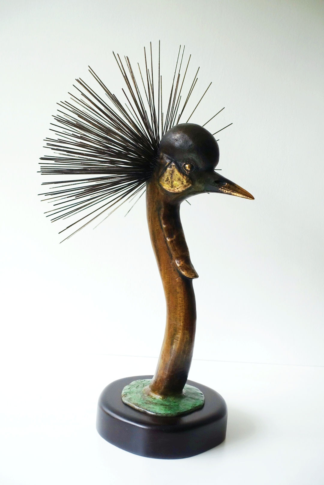 Crested Head