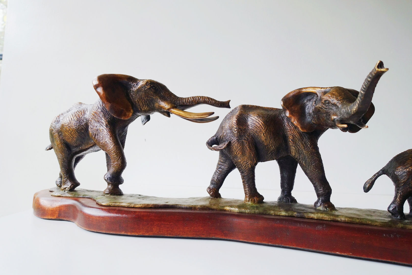 Elephant Safari