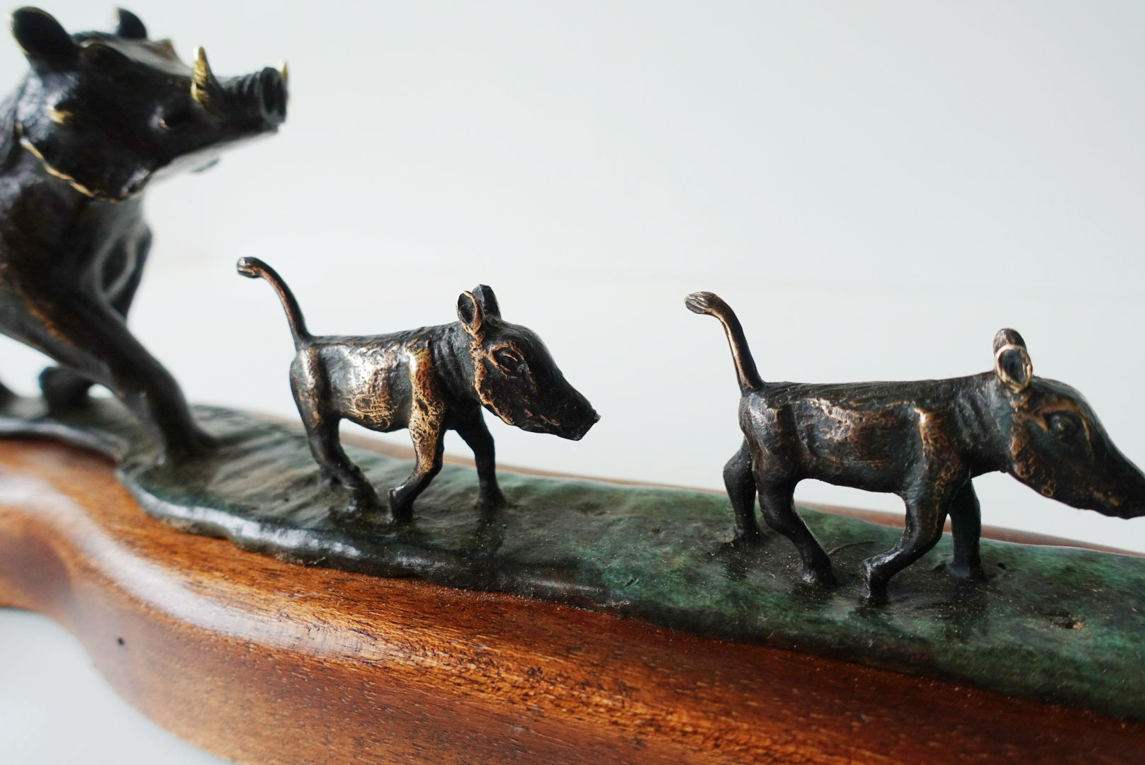 Warthog Family