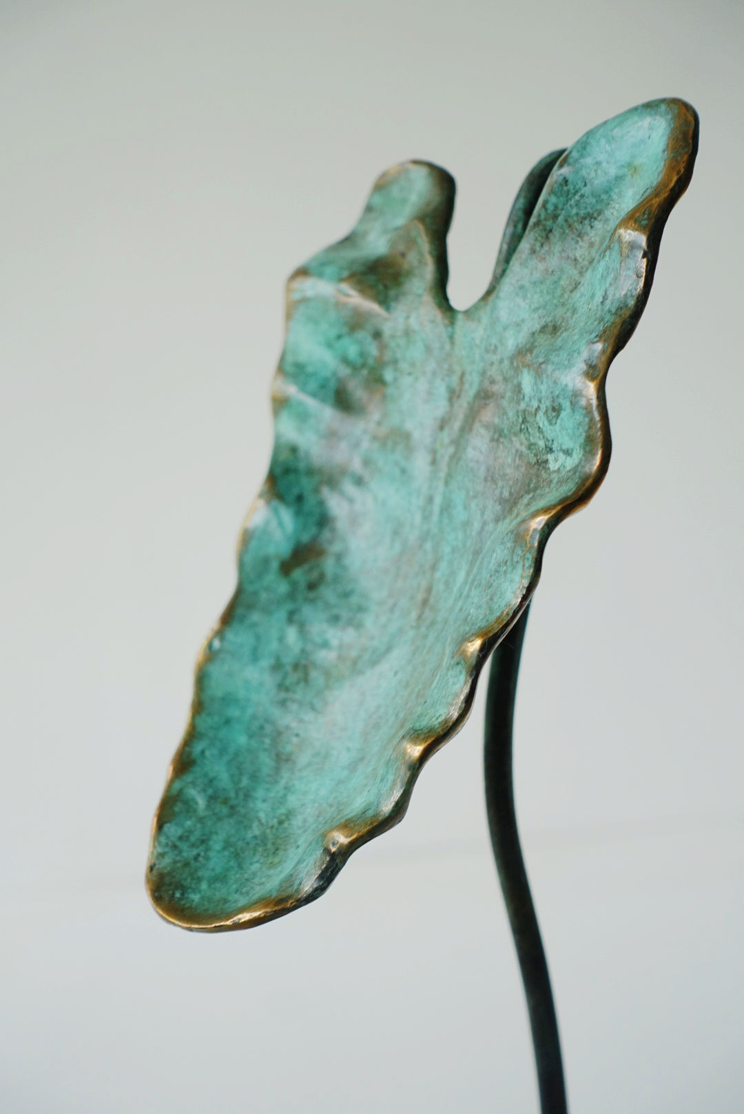 Anthurium Leaf (M) on base