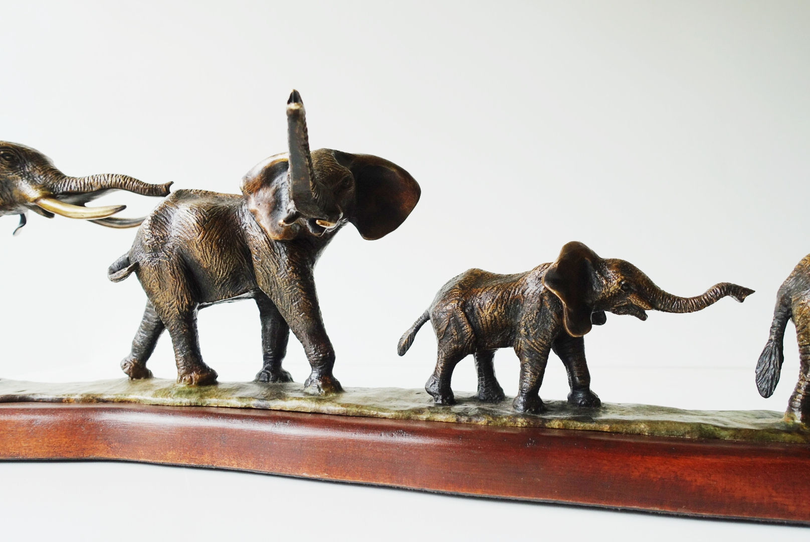 Elephant Safari