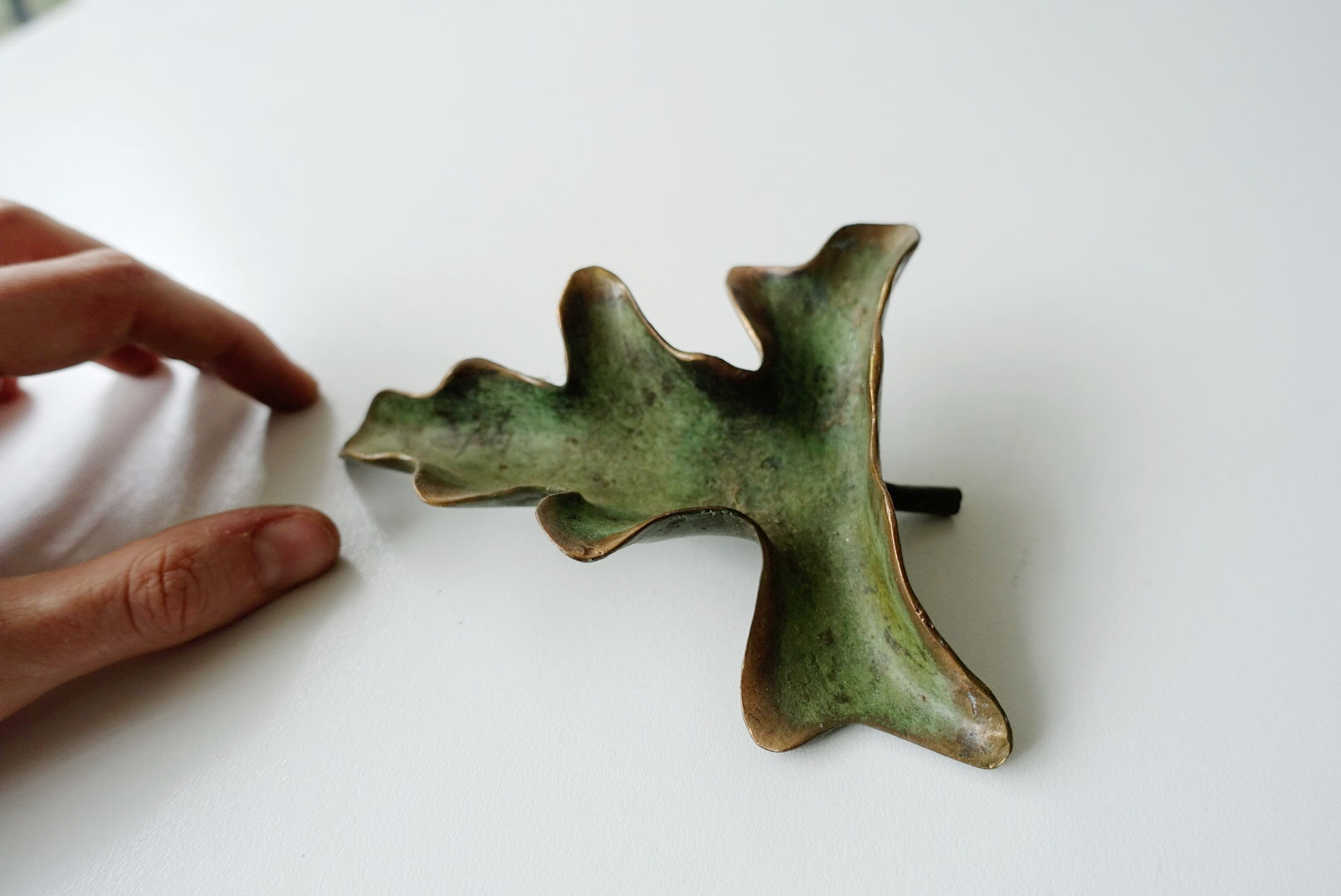 Pigs Ear Leaf (S)