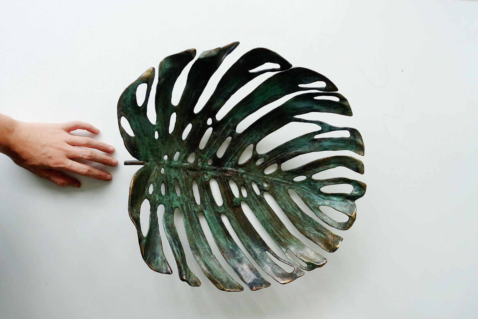 Monstera Deliciosa (L)