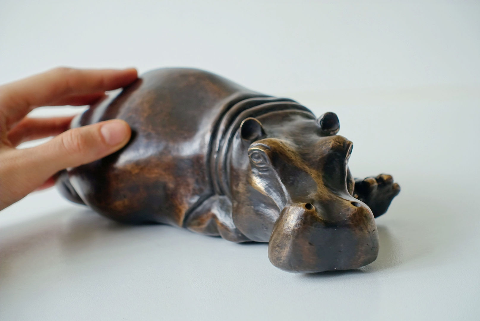 Tana Hippo