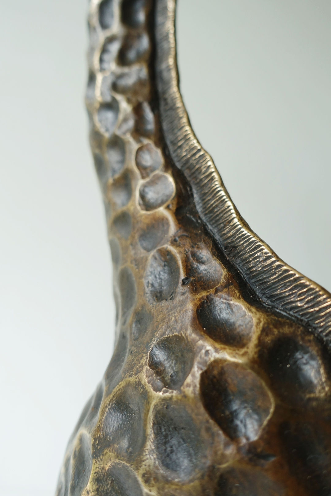 Giraffe Standing