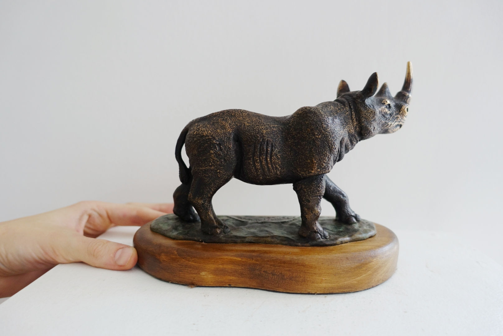 Little Black Rhino
