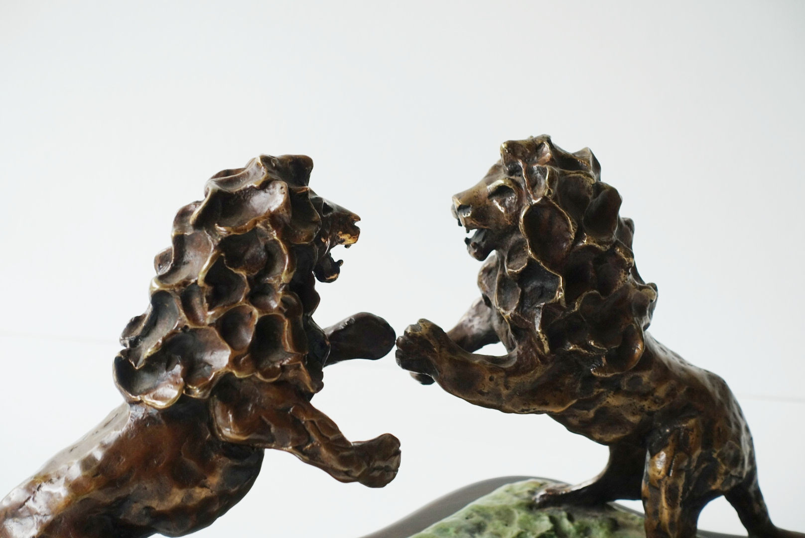 Two Marsh Lion Fighting