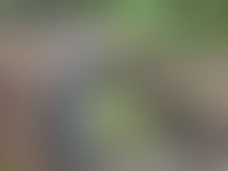 To Stay Away (Not Ride)