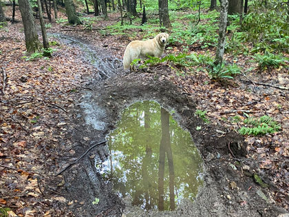 To Stay Away (Not Ride)